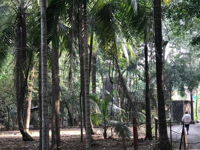 Image of 40000 Sq.ft Residential Plot / Land for sale in Bagmala, Alibag for Rs. 40000000