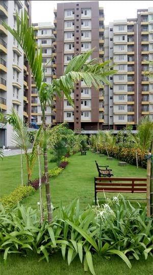 Magnolia Oxygen Main Image 1