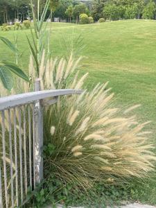 Image of 2100 Sq.ft 4 BHK Apartment / Flat for sale in Godrej Golf Link, Jaypee Greens, Greater Noida for Rs. 38000000
