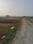 Parao Main Image 1