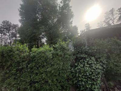 Image of 9000 Sq.ft Residential Plot / Land for sale in Fatehpur Beri, New Delhi for Rs. 65000000