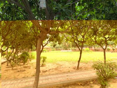 Image of 1291 Sq.ft 2 BHK Independent House for sale in Sector MU 1, Greater Noida for Rs. 19850000