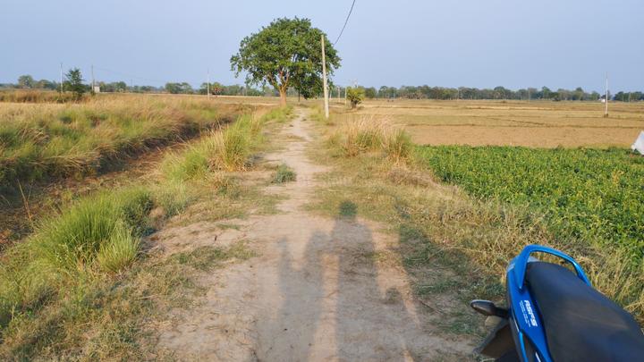 Masaurhi Main Image 1
