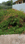 Vidya Nagar Main Image 1