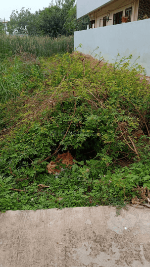 Vidya Nagar Main Image 1