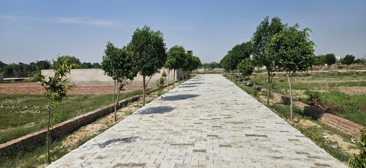 Chhatikara Main Image 1