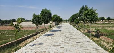Chhatikara Plot View 1