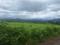 Riverine Kadav Karjat Main Image 1