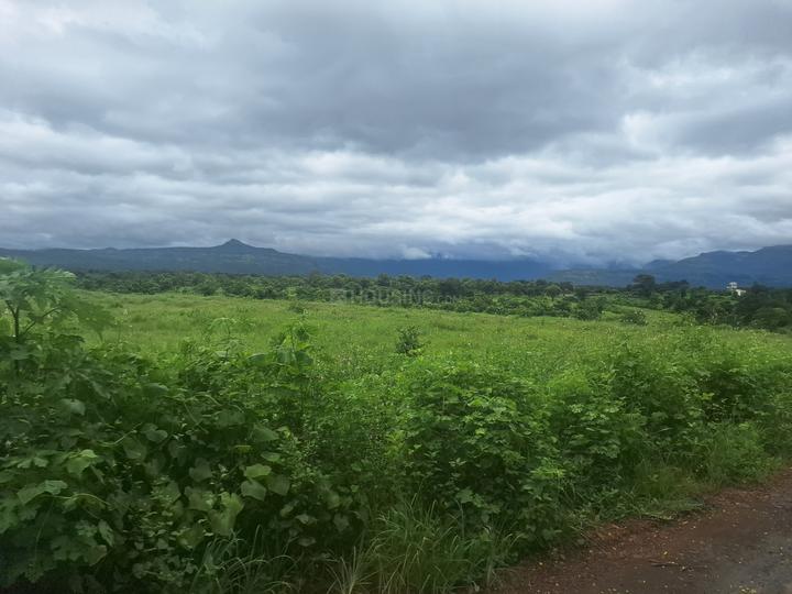 Riverine Kadav Karjat Main Image 1