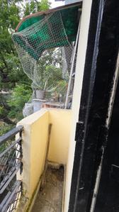 Image of 400 Sq.ft 1 BHK Apartment / Flat for rent in Pitampura, New Delhi for Rs. 17000