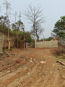 Simuldanga Plot View 1