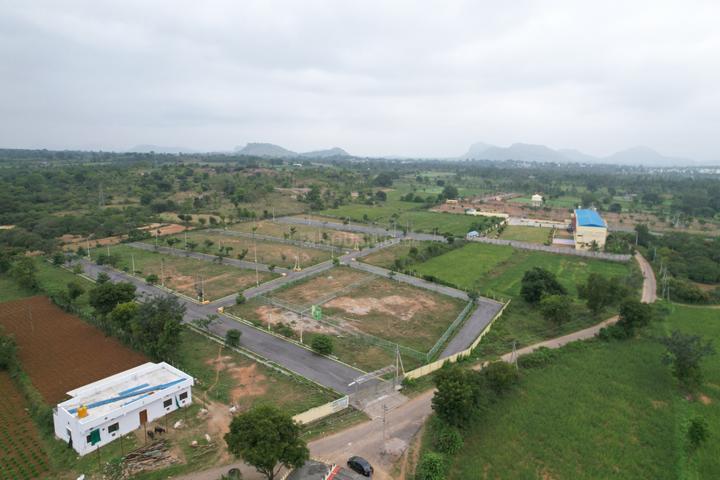 VR Fortune Main Image 1