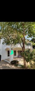 Image of 5166 Sq.ft 3 BHK Independent House for sale in Adalaj, Gandhinagar for Rs. 55000000