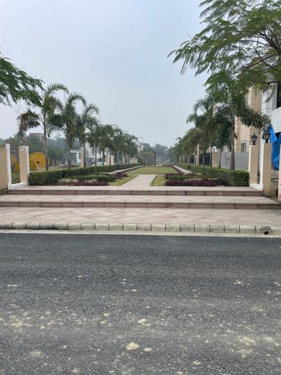 Sapphire Royale Main Image 1