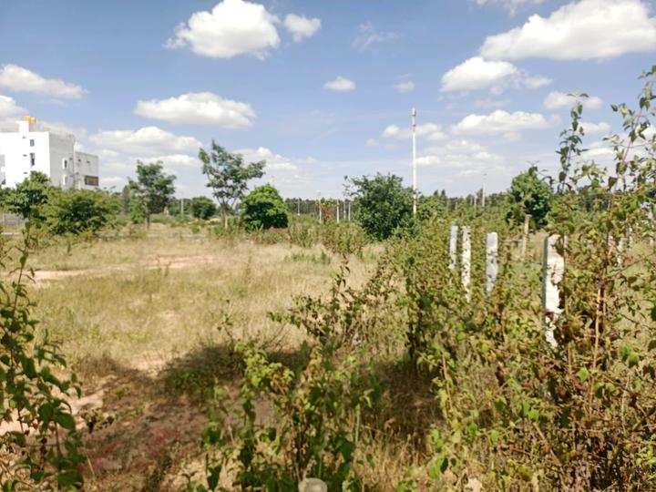 Kubera greens cargo road Main Image 1