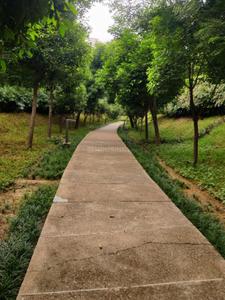 Image of 1450 Sq.ft 3 BHK Villa for sale in Paramount Golfforeste Villas, Surajpur, Greater Noida for Rs. 15000000