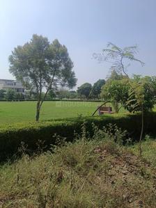 Image of 1133 Sq.ft Residential Plot / Land for sale in Sector 108, Mohali for Rs. 107500000