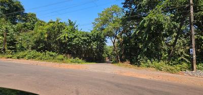 Image of 1444 Sq.ft Residential Plot / Land for sale in Assagao, Goa for Rs. 187720000
