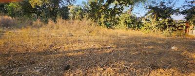 SHREE Ram Plot View 1