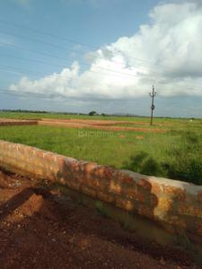 Image of 2000 Sq.ft Residential Plot / Land for sale in Nayapalli, Bhubaneswar for Rs. 1600000