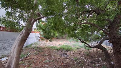 Image of 3600 Sq.ft Residential Plot / Land for sale in Panaiyur, Sholinganallur, Chennai for Rs. 50000000