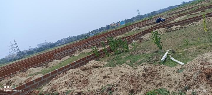 Patrapoda Main Image 1