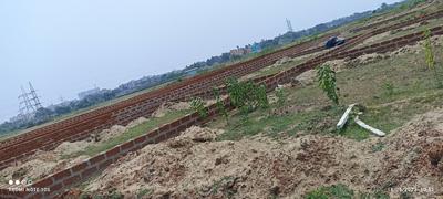 Patrapoda Plot View 1