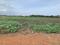 Arasur Plot View 2