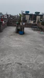 No. T 19 Plot View 2