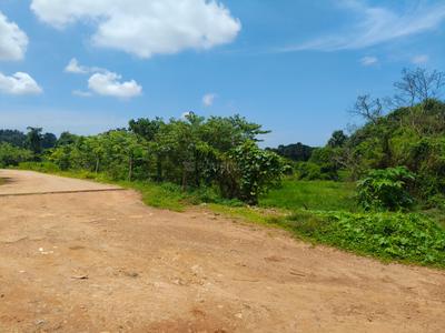 Image of 126324 Sq.ft Residential Plot / Land for sale in Vamanjoor, Mangalore for Rs. 53650000