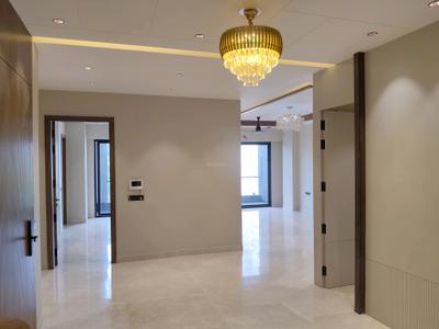 Drying Area Image of 4450 Sq.ft 4 BHK Independent House for rent in DLF Independent Floors At Dlf City Phase III, DLF Phase 3 Gurgaon for Rs. 100000
