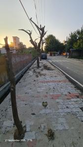 Image of 2450 Sq.ft Residential Plot / Land for sale in Kunraghat, Gorakhpur for Rs. 15925000