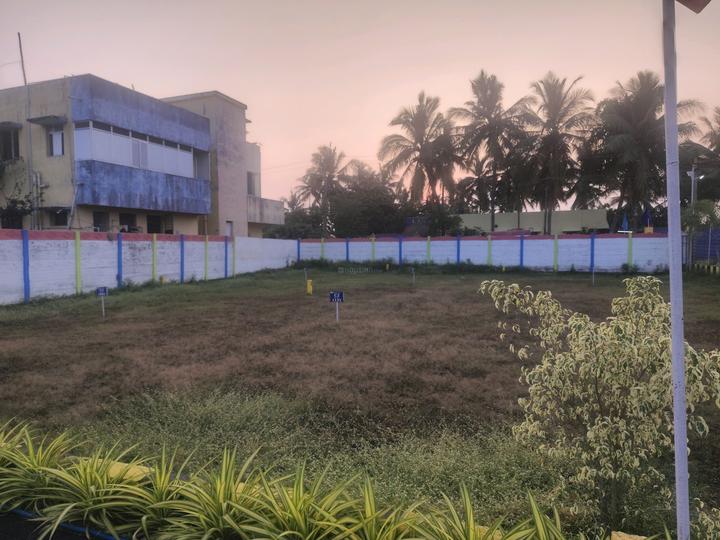 Elephantine Enormous Main Image 1