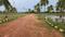 Melur Main Image 1