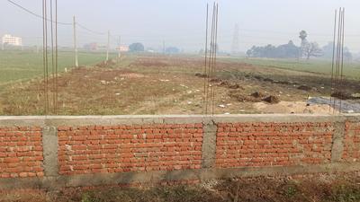 Bihta Plot View 2