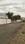 Annur Plot View 2