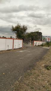Annur Plot View 2