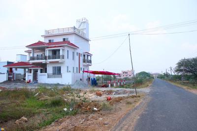 Plot View