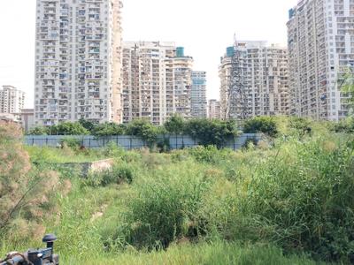 Image of 2250 Sq.ft Residential Plot / Land for sale in Centrum Estates 76, Sector 76, Noida for Rs. 49200000