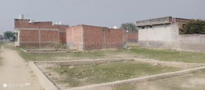 SSB GROUP Plot View 1