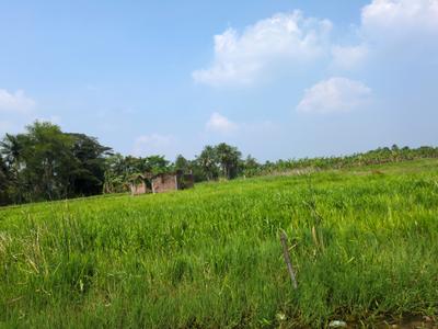 Image of 3600 Sq.ft Residential Plot / Land for sale in Natures Paradise, Joka, Kolkata for Rs. 850000