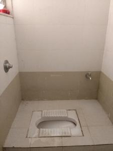 Today Paradise Common Bathroom 4