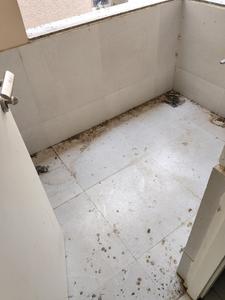 Drying Area Image of 1700 Sq.ft 3 BHK Apartment / Flat for sale in Adani Atrius, Jagatpur Ahmedabad for Rs. 8650000