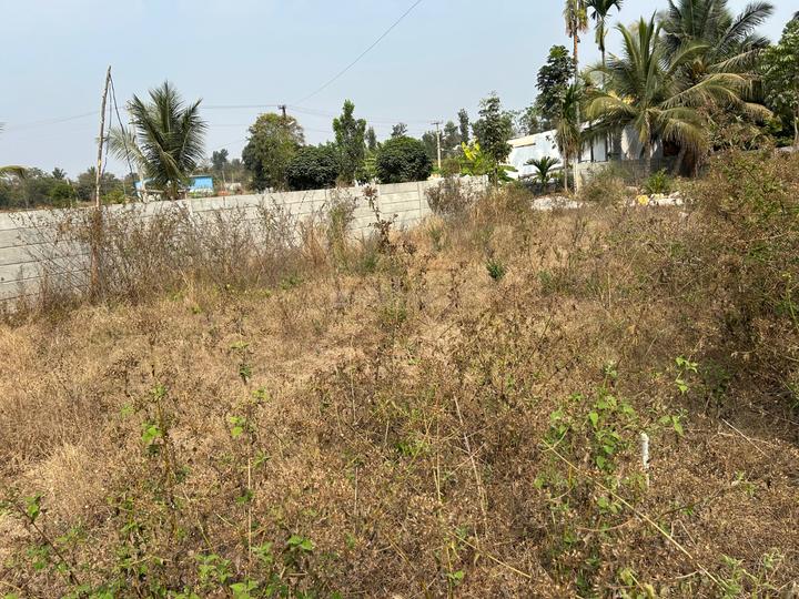 Kommaghatta Main Image 1