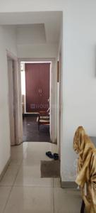 Hall Image of 1750 Sq.ft 3 BHK Apartment / Flat for sale in Ajnara Gen X, Crossings Republik Ghaziabad for Rs. 11000000
