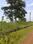Kamal Vihar Plot View 2