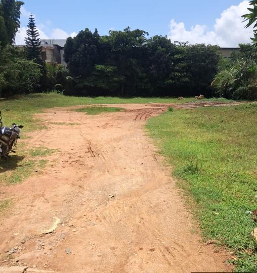 Kodathi Main Image 1