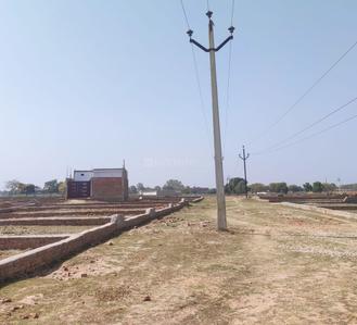 Image of 900 Sq.ft Residential Plot / Land for sale in Kalindipuram, Allahabad for Rs. 1600002
