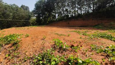 Image of 19600 Sq.ft Residential Plot / Land for sale in Kolenchery, Kochi for Rs. 4500000