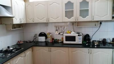 Kitchen Image of 1650 Sq.ft 3 BHK Apartment / Flat for rent in Chetpet Chennai for Rs. 60000